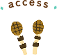 access