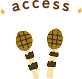 access