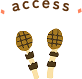 access